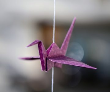 origami, crane, bird