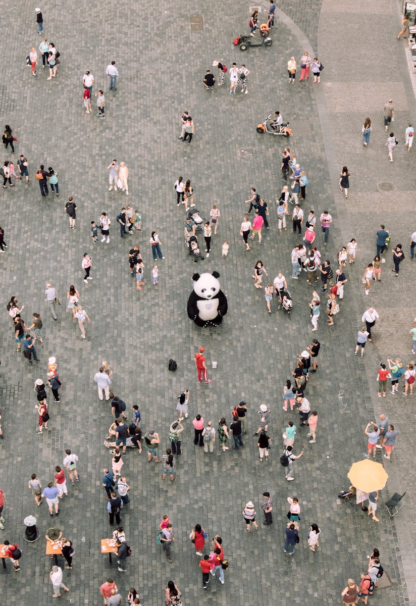 People Gathered Watching A Panda Mascot