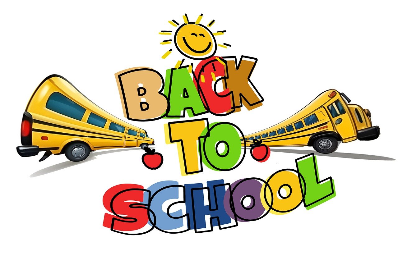 school, bus, schoolbus